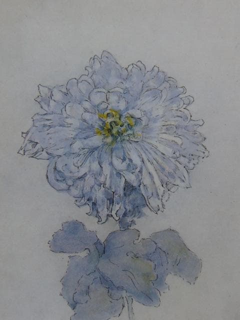 ピート・モンドリアン、『菊』、希少な画集より、新品高級額