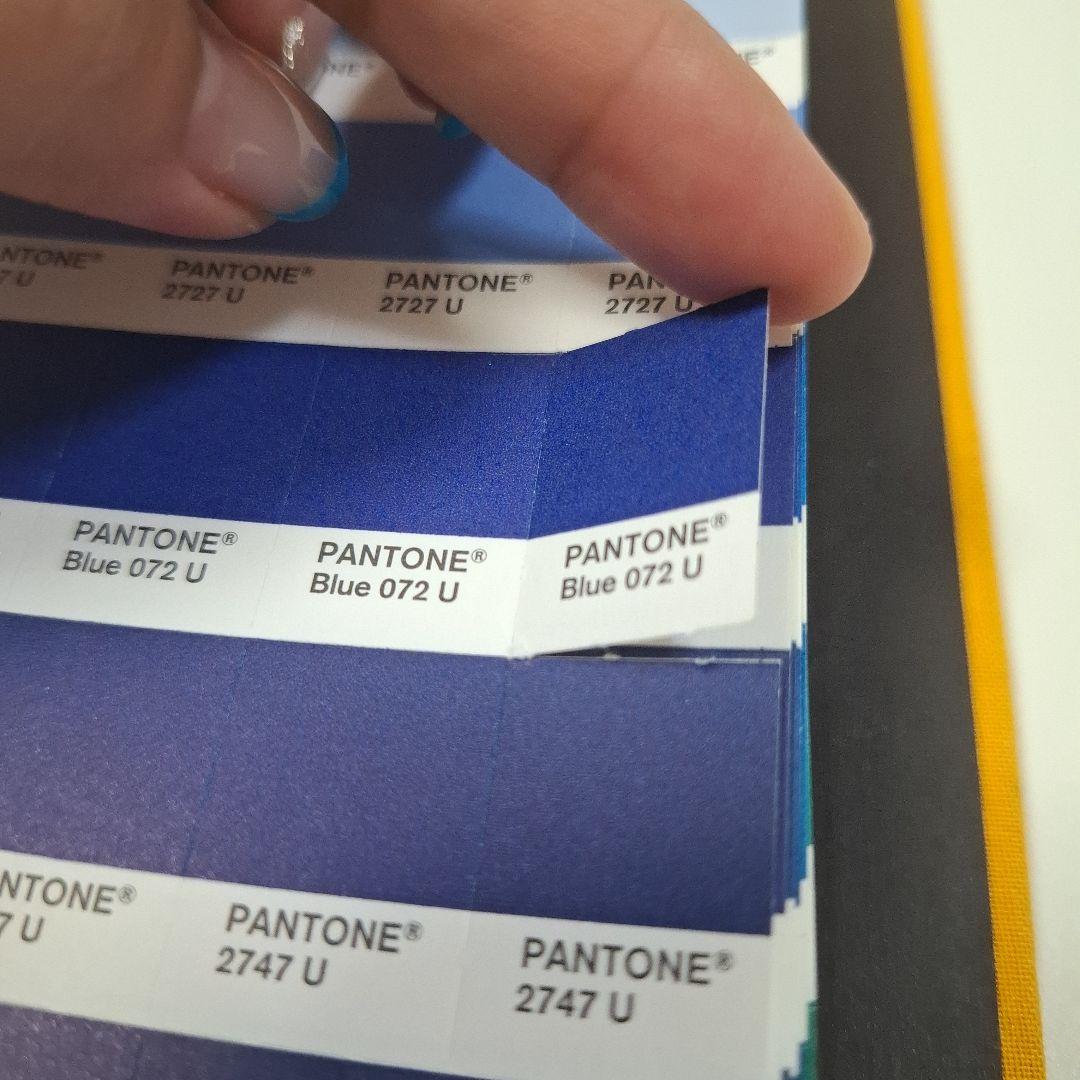 【PANTONE】 solid chips uncoated カラー見本