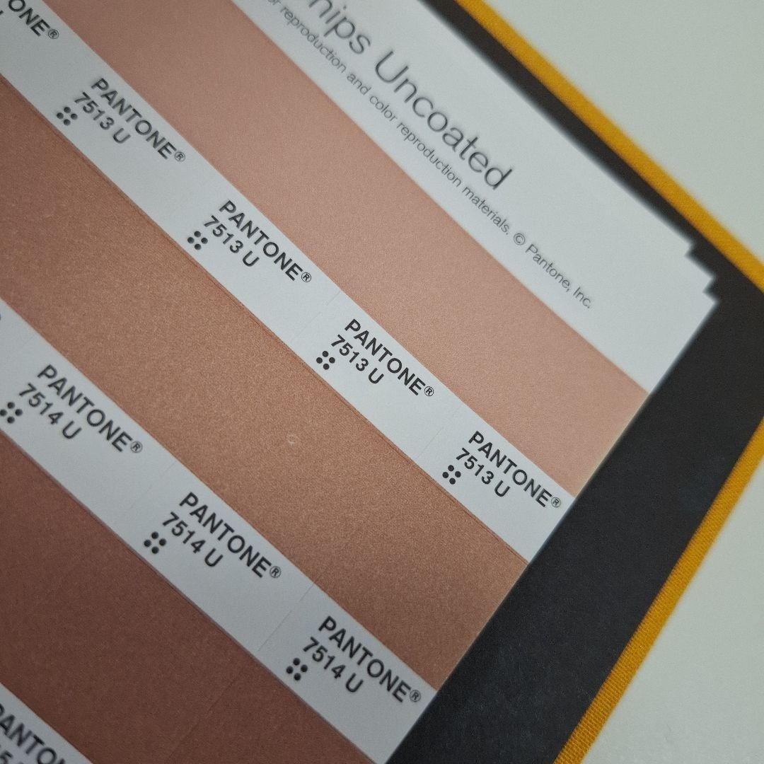 【PANTONE】 solid chips uncoated カラー見本