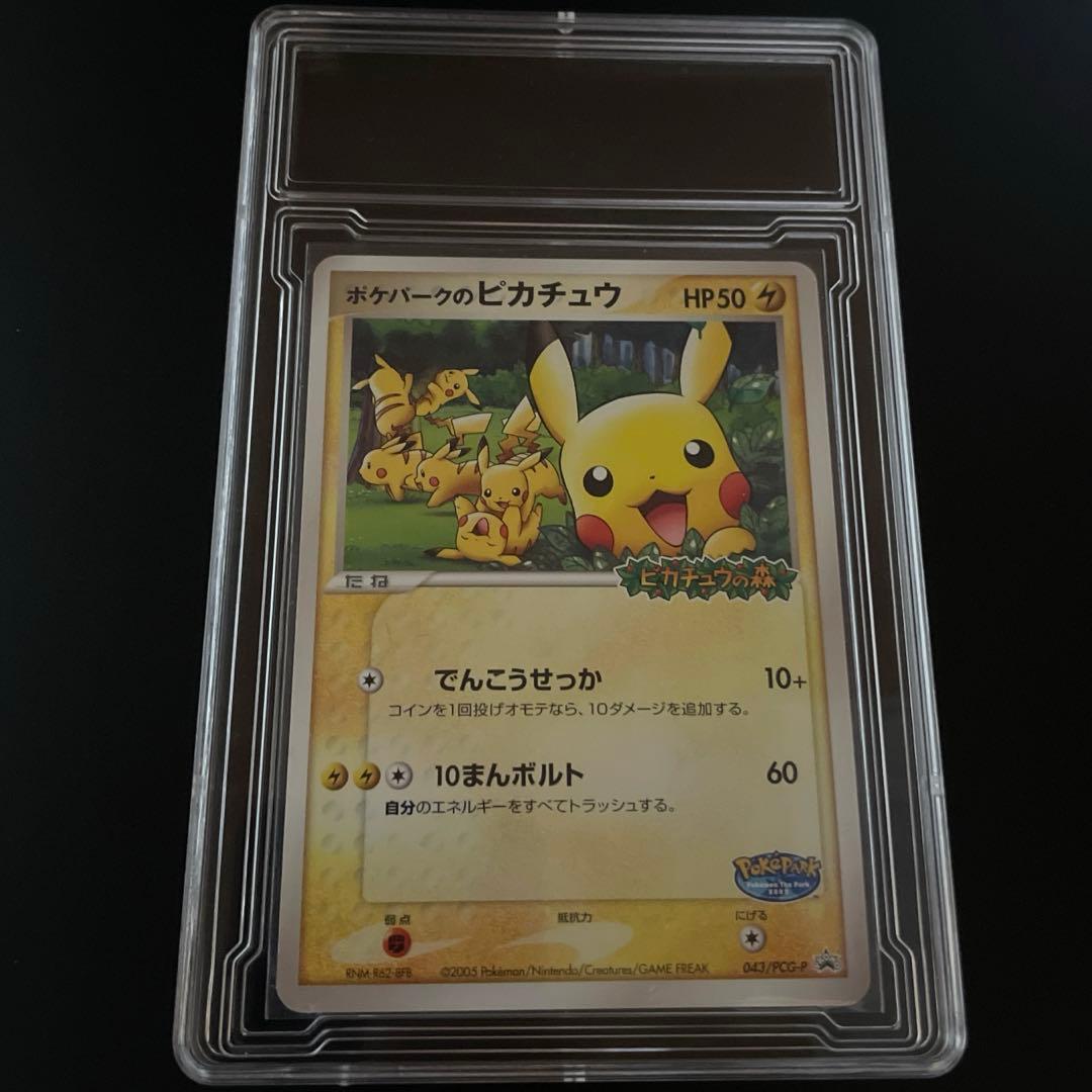 こ*ぱ様 ポケパークのピカチュウ 043/PCG-P