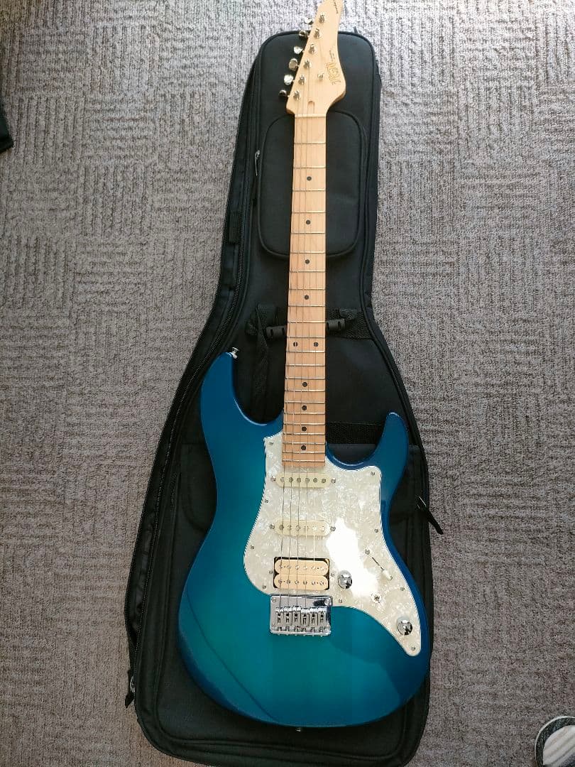 フジゲン　bos-m/tbs/01　フレットは98％残ってます。状態良いです。