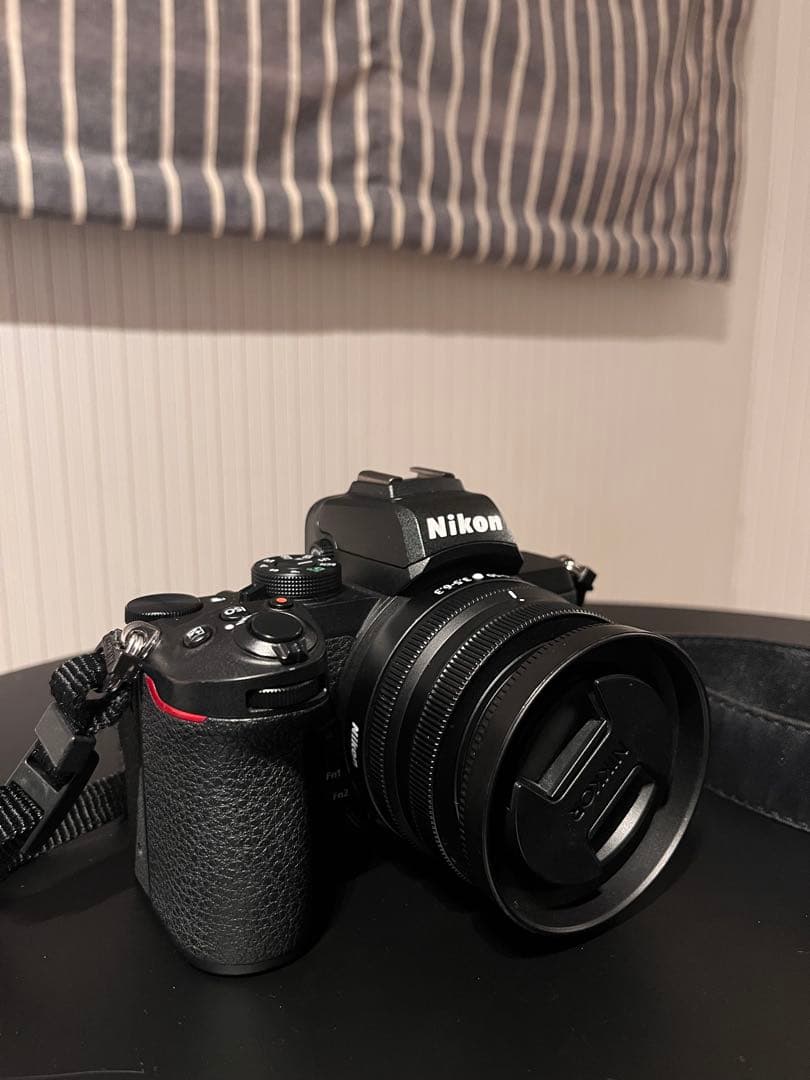 作画有　Nikon Z 50 16-50mm 付属品