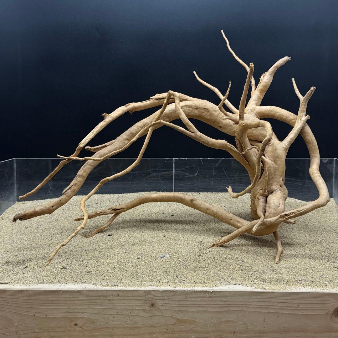 MDW-6989 特大ブランチウッド　流木　枝流木　アクアリウム