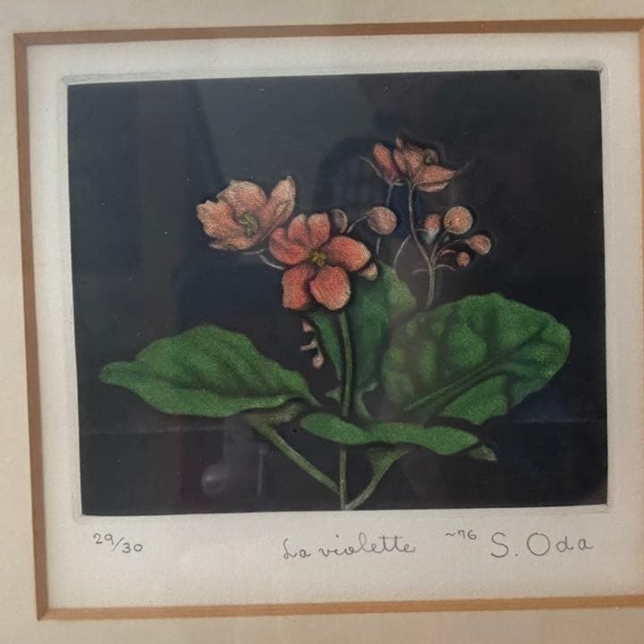 織田 繁　題名　アフリカン　ヴァイオレット　メゾチント　銅版画