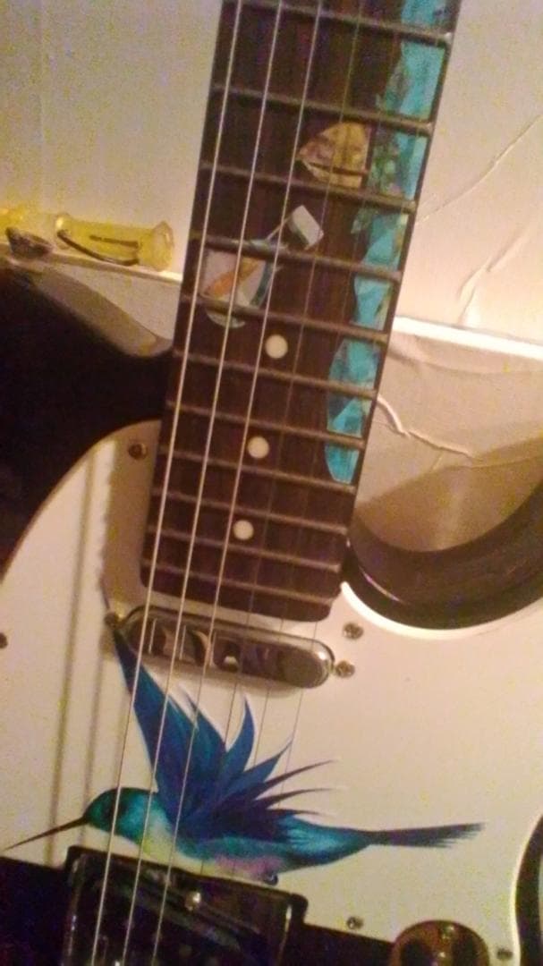 ハワイアン柄インレイ　ハチドリ　ハイビスカス　ギター期間限定新春特価