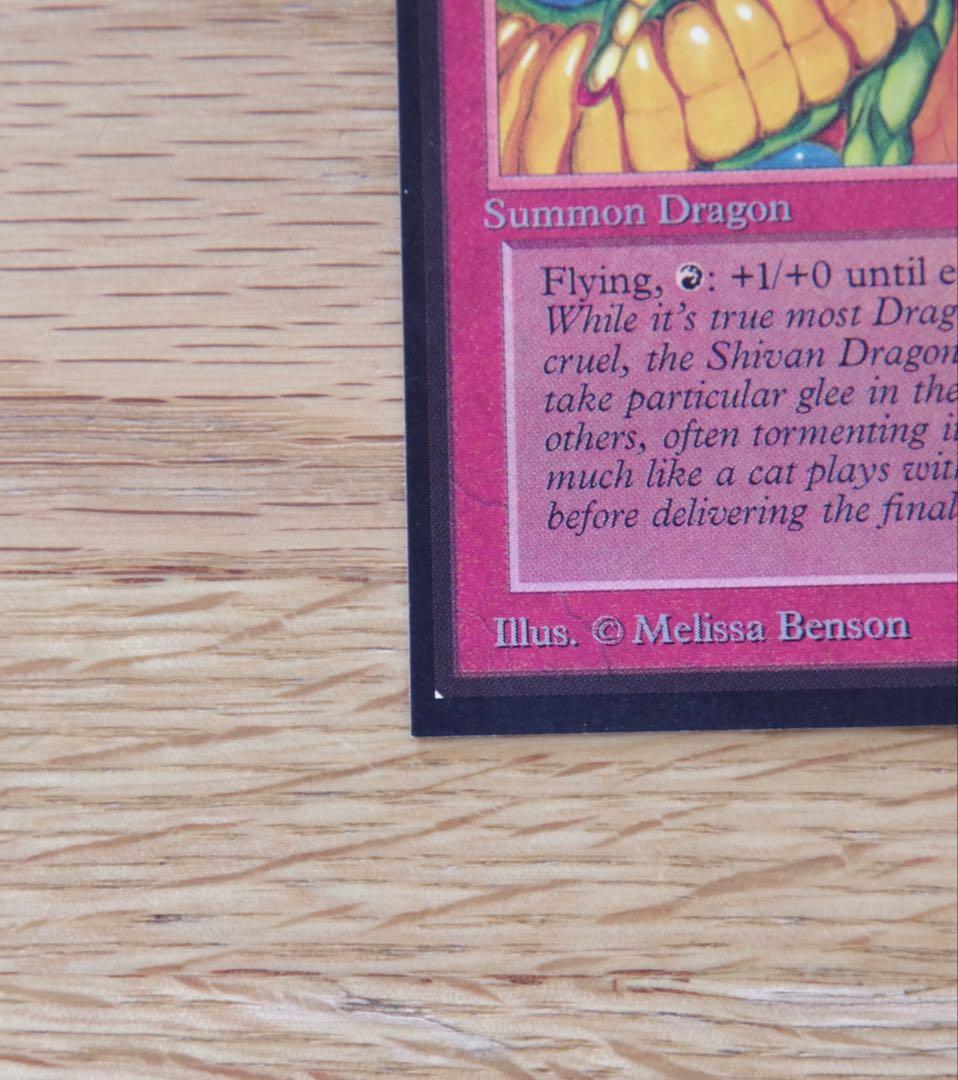 シヴ山のドラゴン Collectors' Edition ①