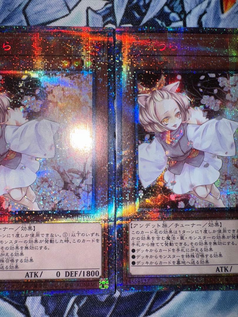 遊戯王　灰流うらら　プリズマ　3枚セット