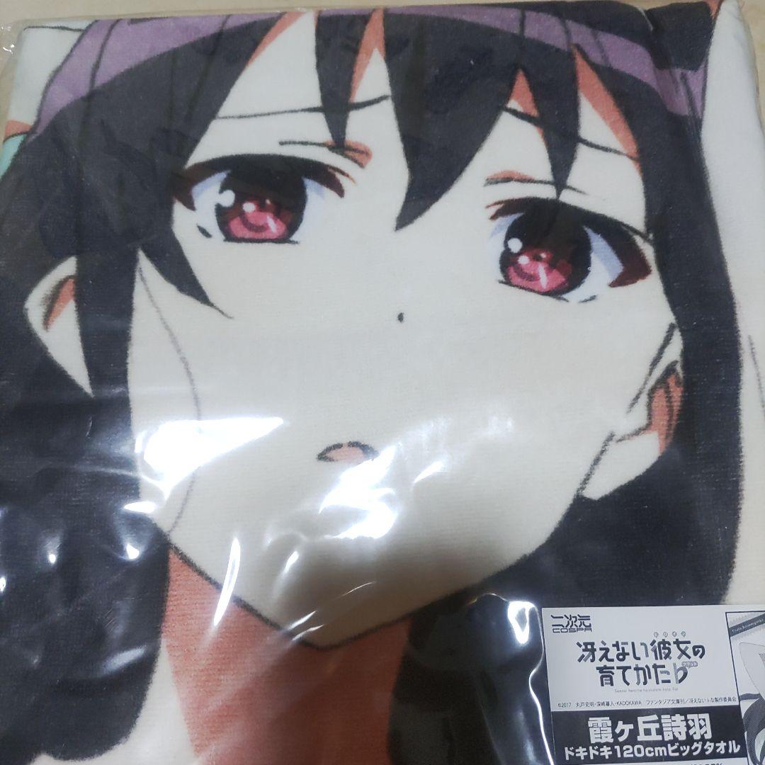 冴えカノビッグタオル 加藤恵 霞ヶ丘詩 沢村スペンサー英梨々 3点