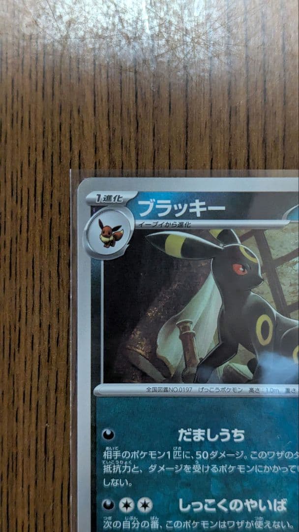 ブラッキーマスターボールミラー テラスタルフェスex