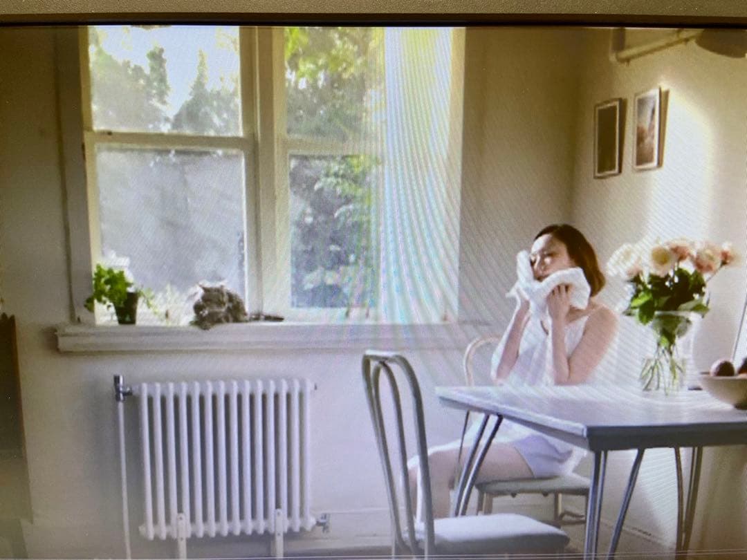 新垣結衣さん化粧品販促用店頭DVD