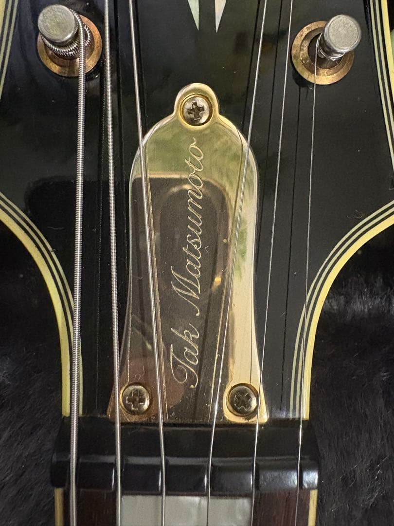 Epiphone Tak Matsumoto DC バーストバッカー#2,#3