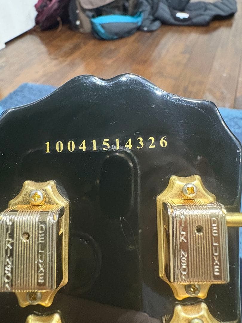 Epiphone Tak Matsumoto DC バーストバッカー#2,#3