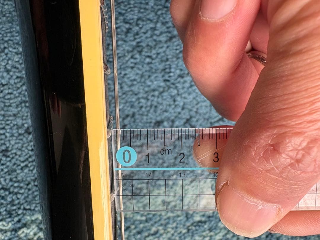 Epiphone Tak Matsumoto DC バーストバッカー#2,#3