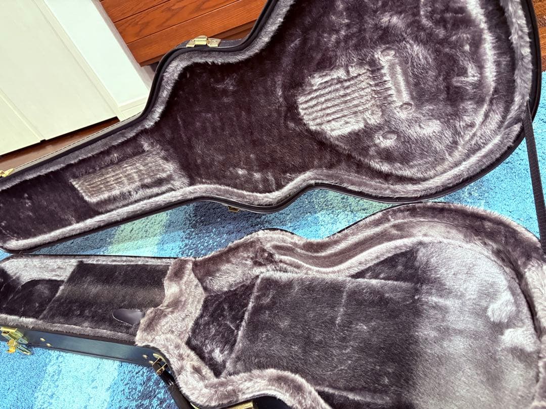 Epiphone Tak Matsumoto DC バーストバッカー#2,#3