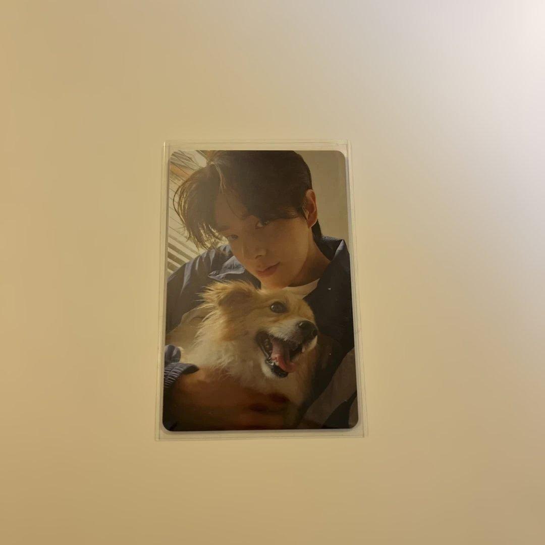 ENHYPEN ジェイク　アンケートトレカ 2025