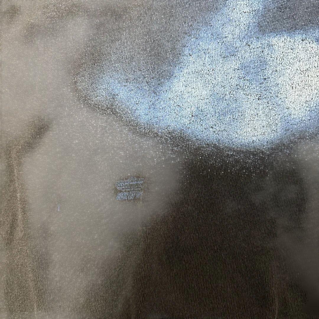 PANTERA 1995ツアーTシャツ XLオフスプリングツアーＴシャツＬセット