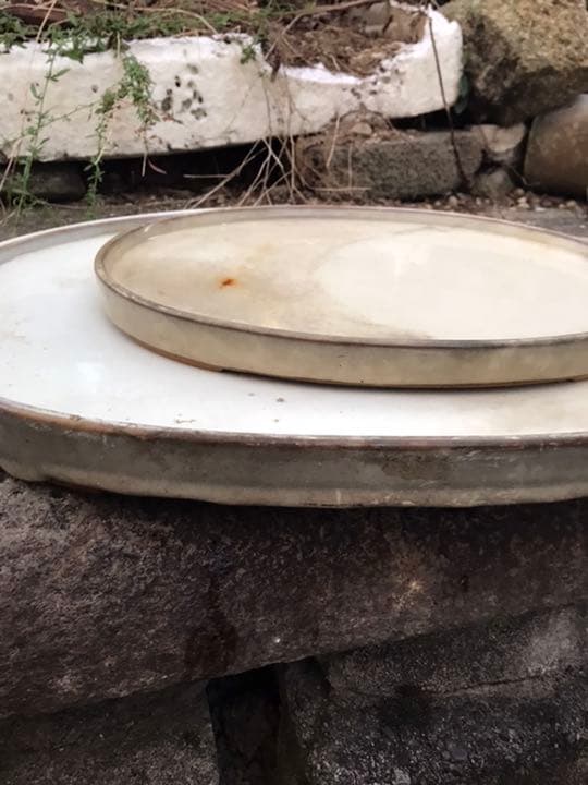 水盤　盆栽鉢時代落款白一菁陶園楕円水盤水石苔珠盆栽盆栽敷