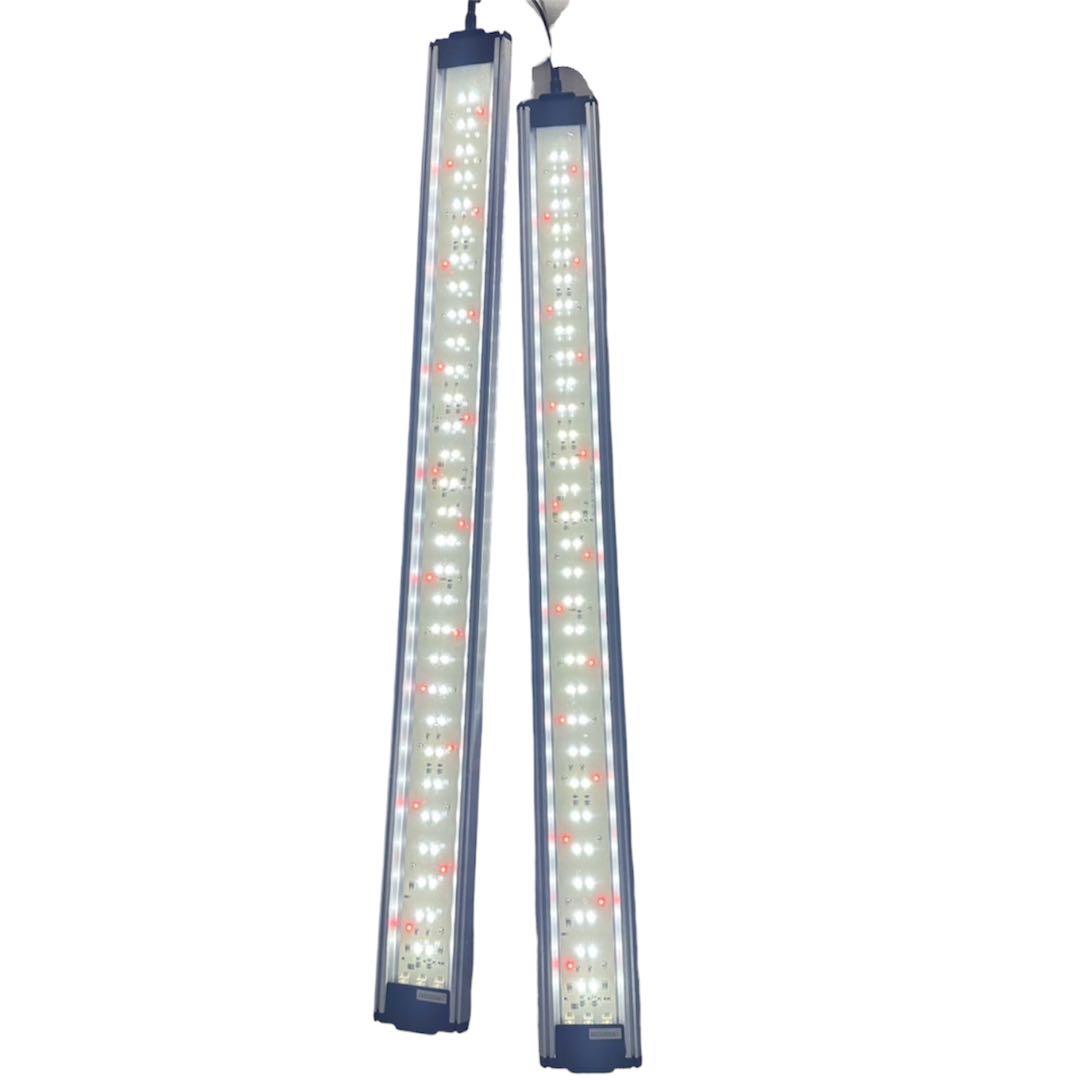 【２本セット】GEXクリアLEDパワーIII900 2本