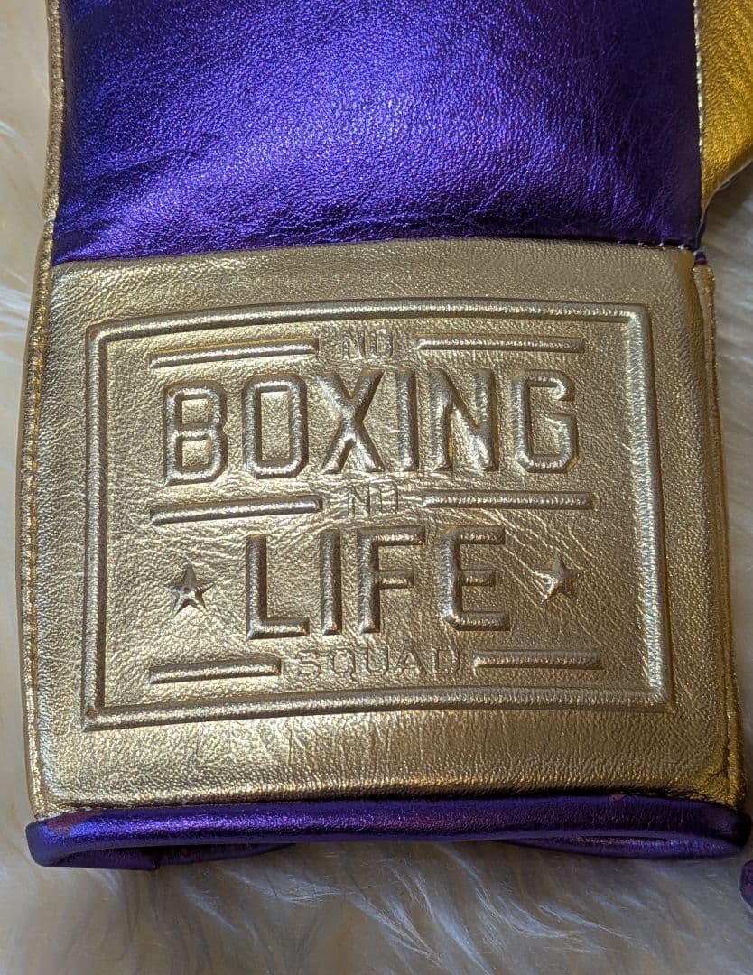 ノーボクシングノーライフ 世界戦公式グローブ ８oz