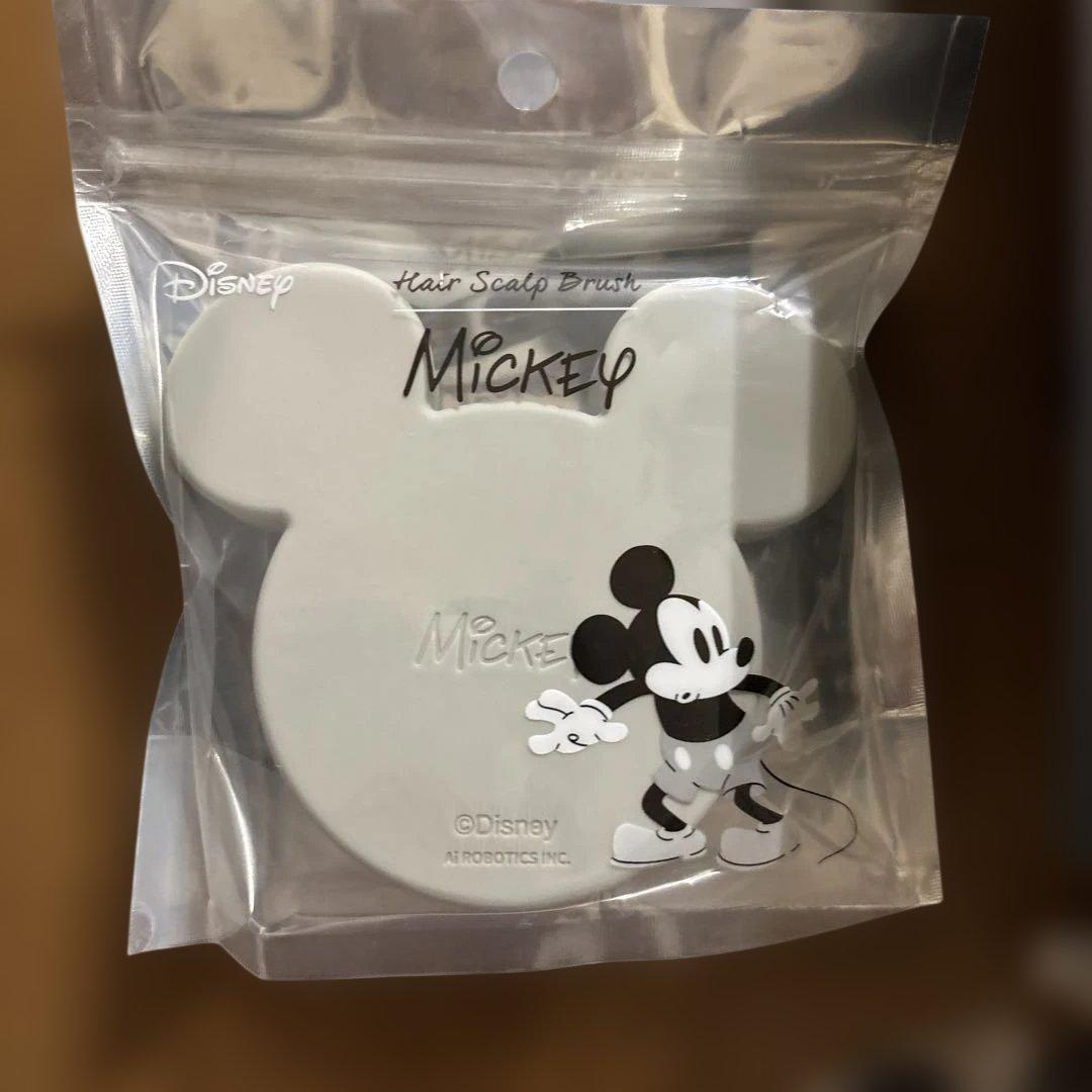 ま*す様 美品　ブライト シャワードライヤー SHOWER DRYER ナノミス