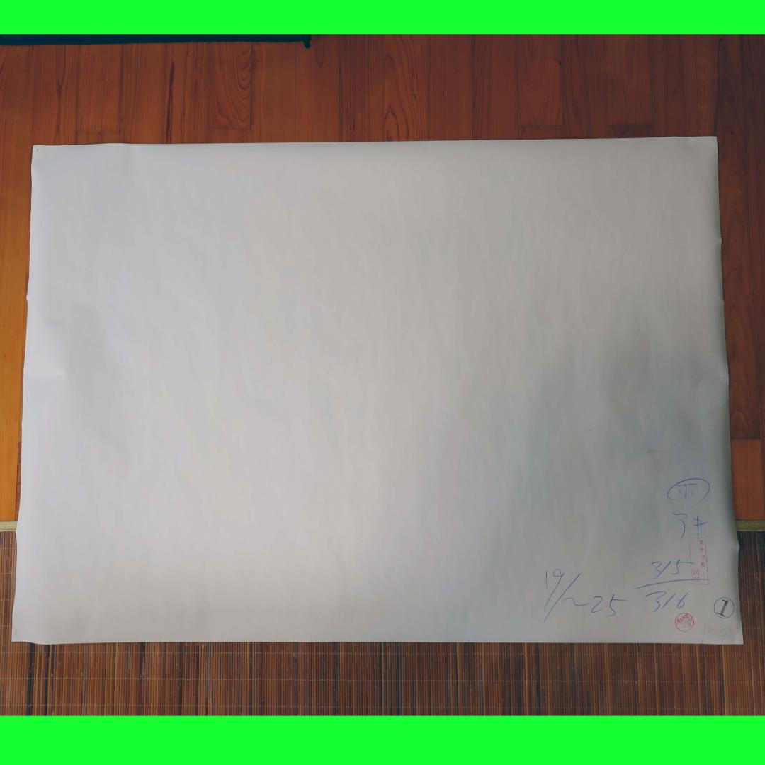 【実使用・超大型ポスター】米倉涼子　富士フィルム・ネクシアQ1　B0　ピン穴あり