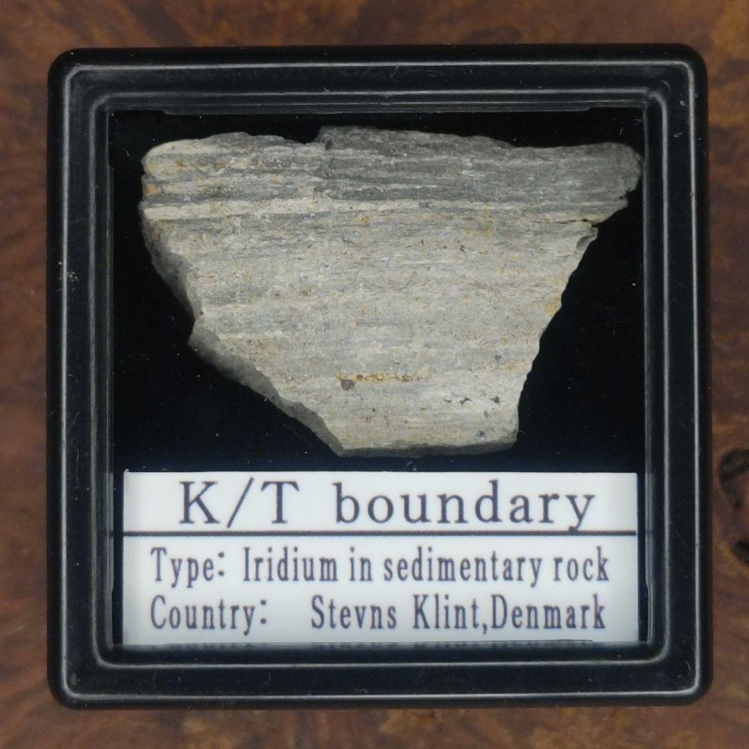 １万円値引き✨入手不可！小惑星のかけら Ｋ-Ｔ境界層（K/Pg境界頁岩）標本大