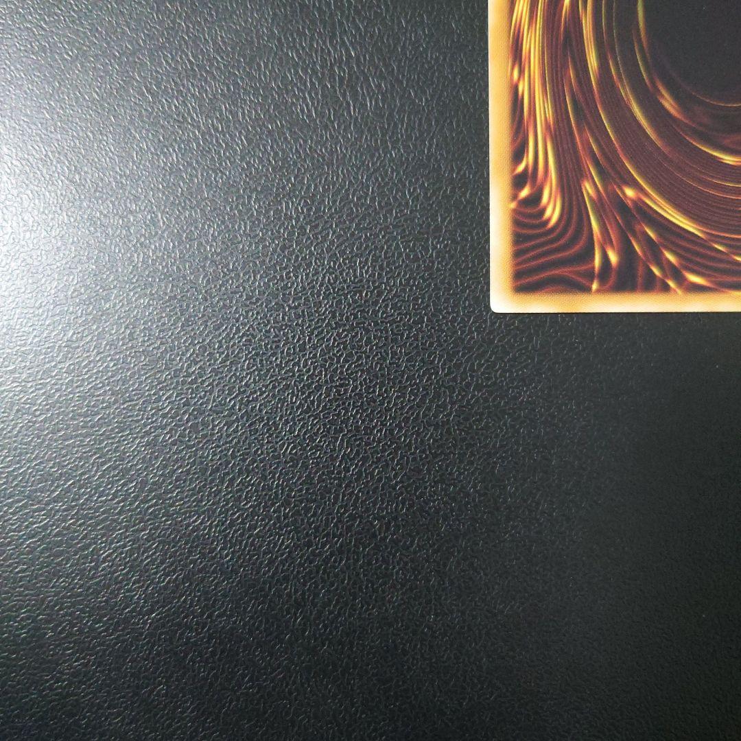 遊戯王「ブラック・ローズ・ドラゴン」レリーフ　②