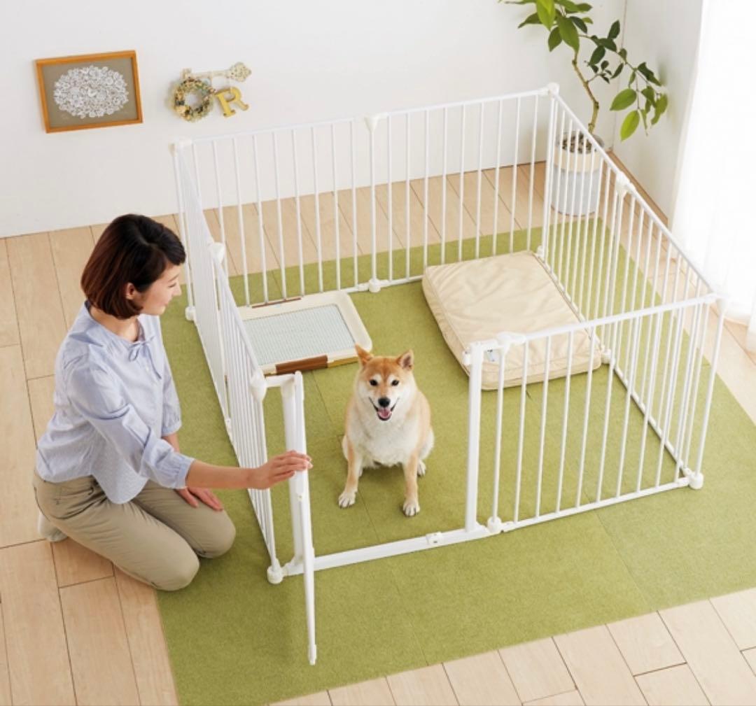 ペピイ　アレンジサークル・スチール　8枚　犬用