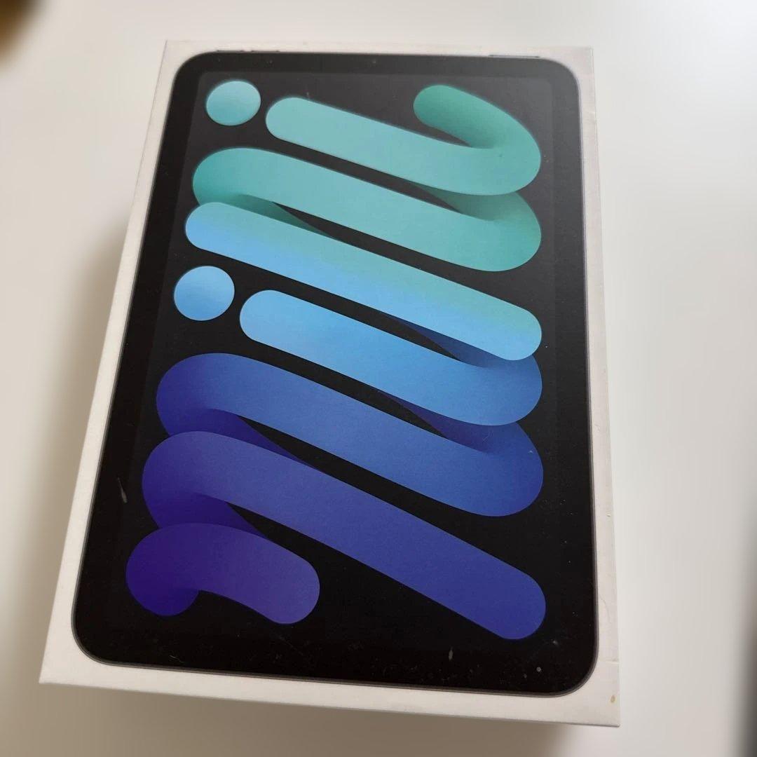 iPad mini 第6世代　純正ケースおまけ　256GB スペースグレイ