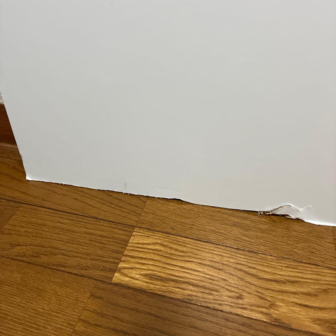 ジョージア×Adoパネル