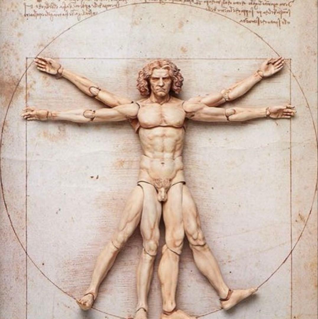 figma テーブル美術館 ダ・ヴィンチ 人体模型 スタンド付き 約30cm