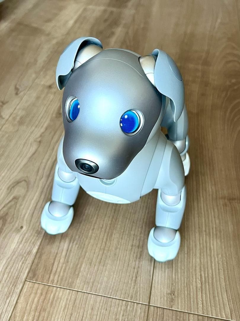 「Hiro 」Sony aibo ERS-1000 「黒ゴマエディション」