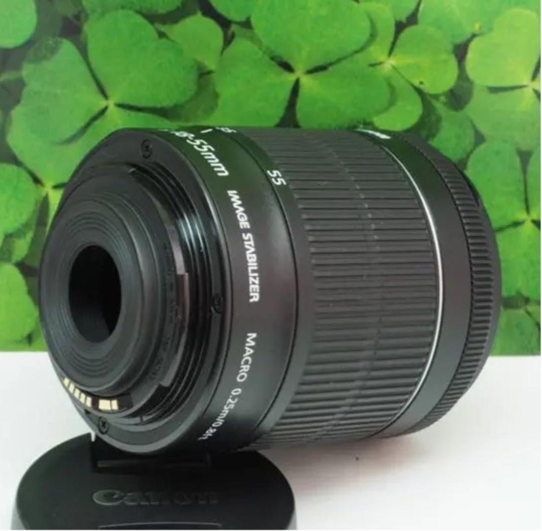 【美品】キヤノンEF-S18-55mm STM 標準ズームレンズ⭐️フード付⭐️