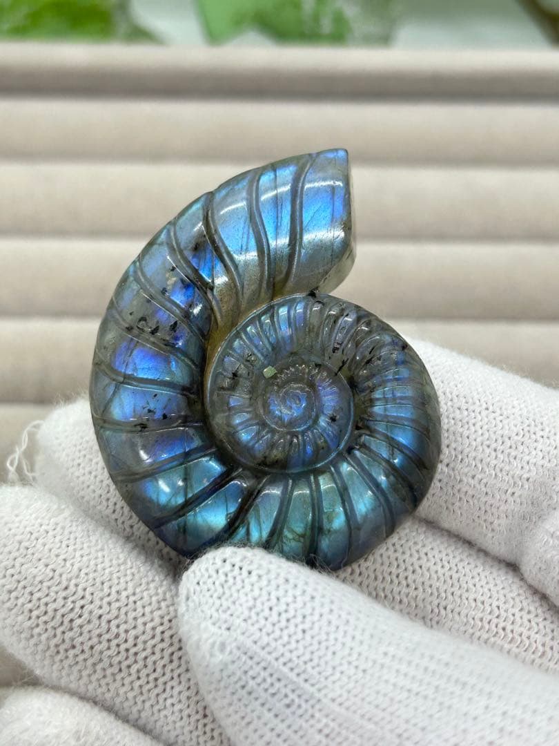 天然石ラブラドライト　アンモナイトのかたちパーツ　No.1258