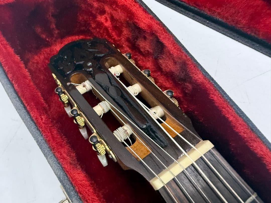 初心者 アコースティックギター ハードケース付き