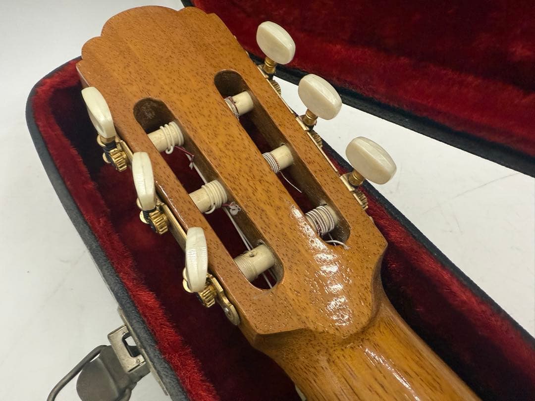 初心者 アコースティックギター ハードケース付き