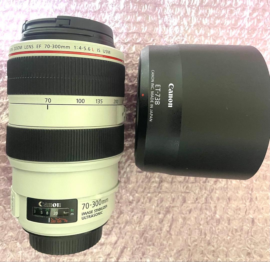 レンズ(ズーム) Canon EF 70-300mm f/4-5.6L IS USM