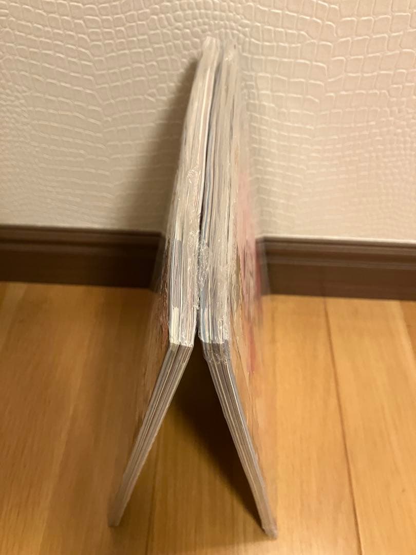 [新品未開封]初音ミク　ゲーマガ　2010年4月号　5月号