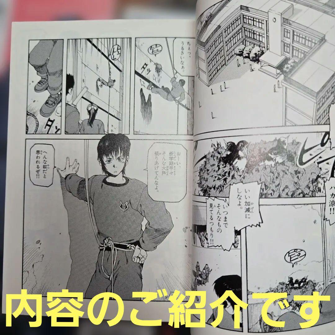 ARMS 　全15巻初版本　アニメ　まんが【文庫版】皆川亮二　アームズ　サンデー