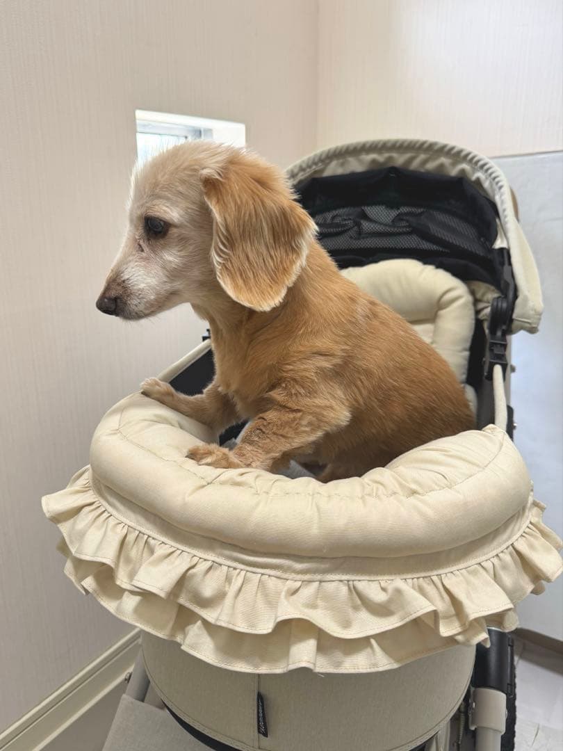 3点set コンフォーター　あごのせ　カートクッション　シートクッション