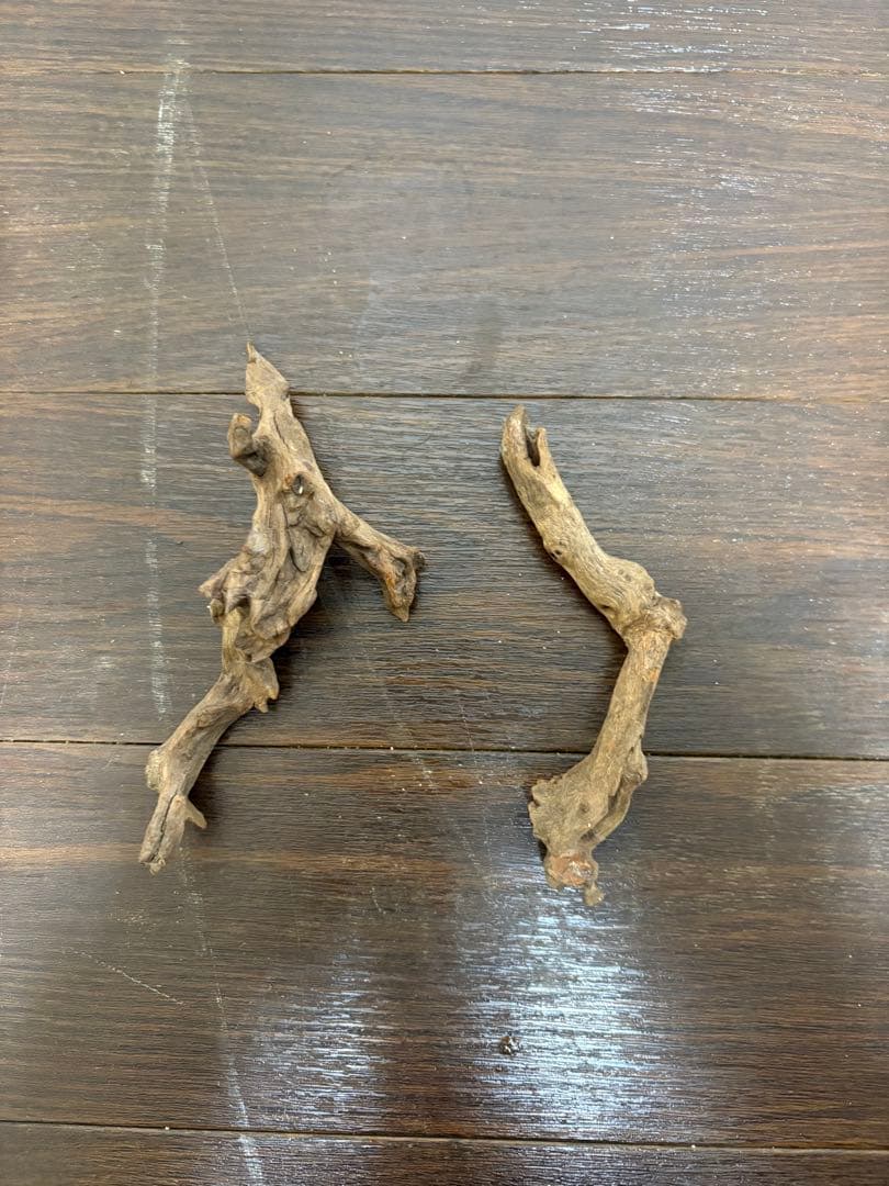 ADA ホーンウッド　7本まとめ売り