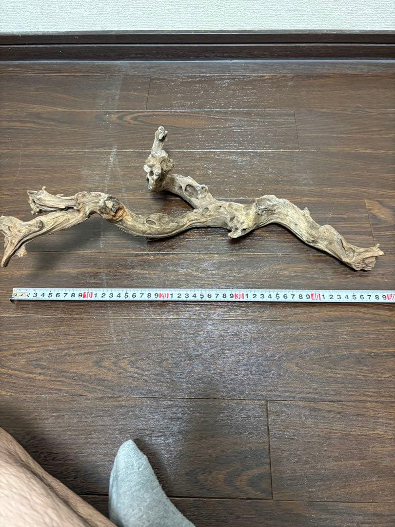 ADA ホーンウッド　7本まとめ売り