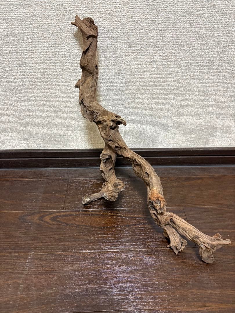 ADA ホーンウッド　7本まとめ売り