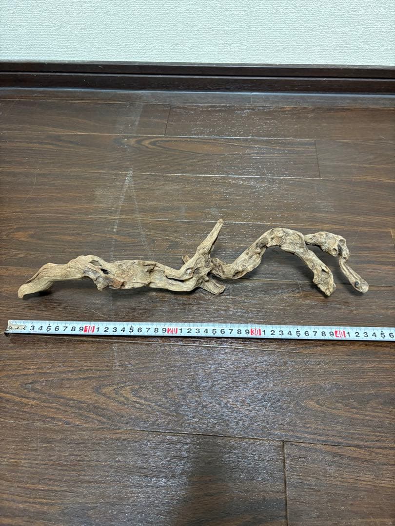 ADA ホーンウッド　7本まとめ売り