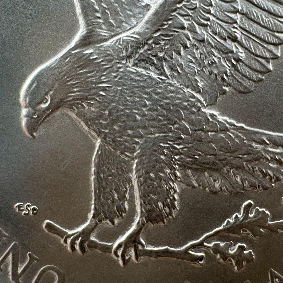 アメリカ イーグル 銀貨 AI 人か機械か カラー