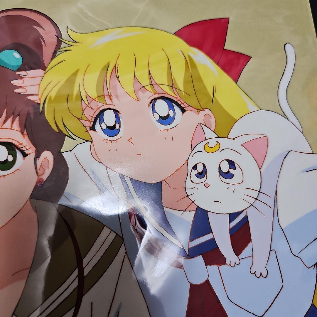 美少女戦士 セーラームーン 木野まこと+愛野美奈子&アルテミスセル画