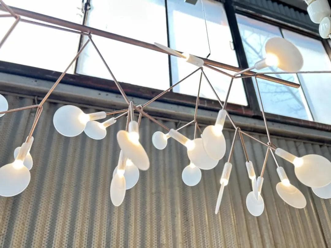 【美品】mooi / モーイ｜ヘラクレウムエンドレス｜ペンダントライト