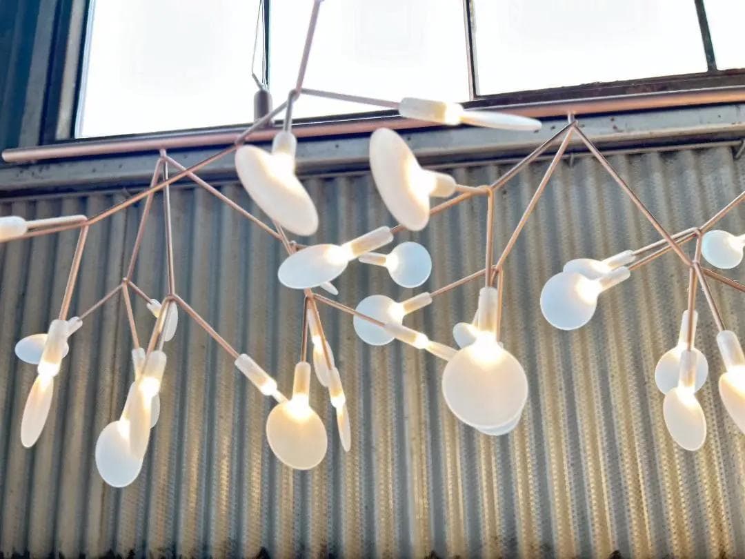 【美品】mooi / モーイ｜ヘラクレウムエンドレス｜ペンダントライト