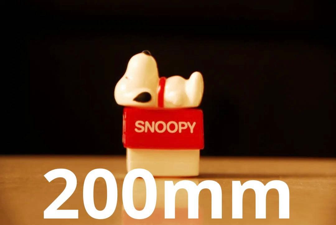 Nikon D200 デジタル一眼レフカメラ 本体とレンズセット 訳あり