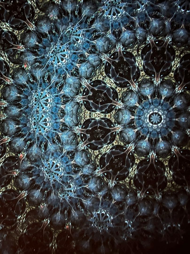 万華鏡　かたおかきくよ　星の旅